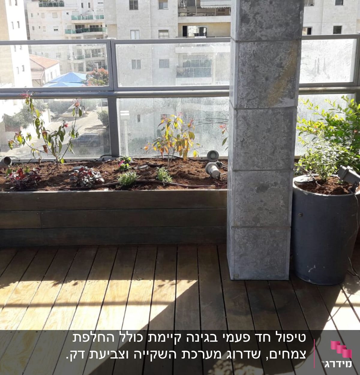 צמחים ופרחים באדניות על מרפסת עץ